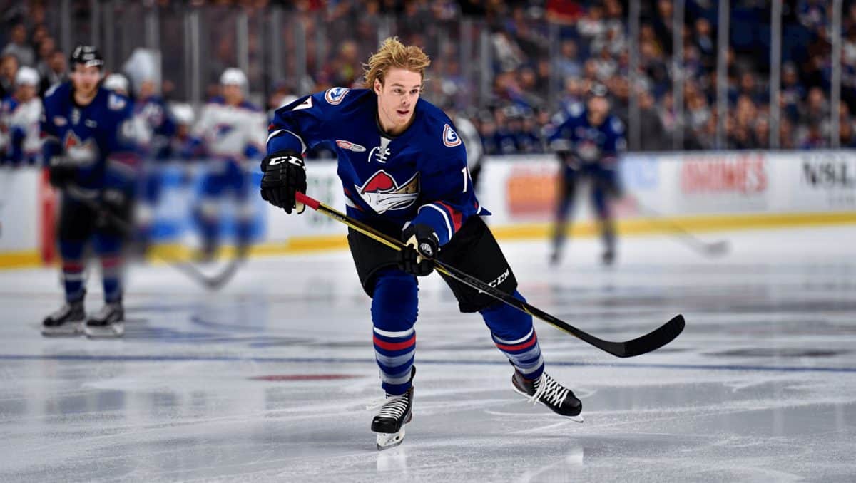Leo Carlsson hockeyvärldens hetaste: ”Press oavsett storlek på lönecheck”